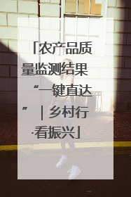 农产品质量监测结果“一键直达”｜乡村行·看振兴